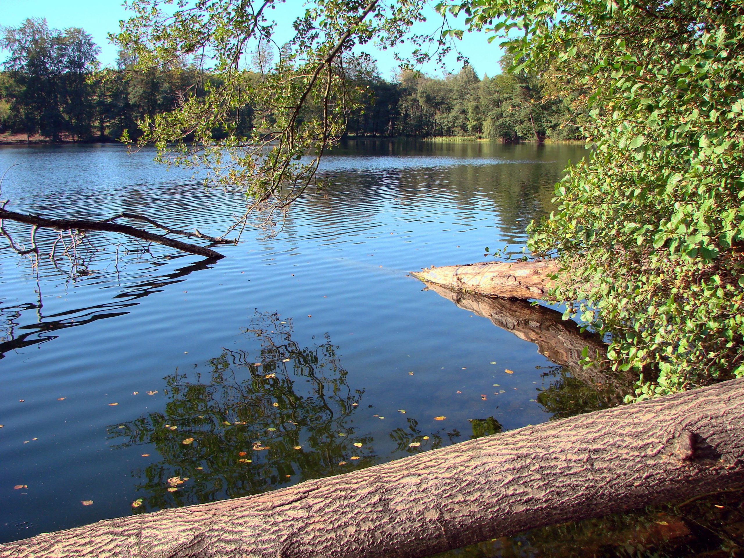jezioro drawsko czarter